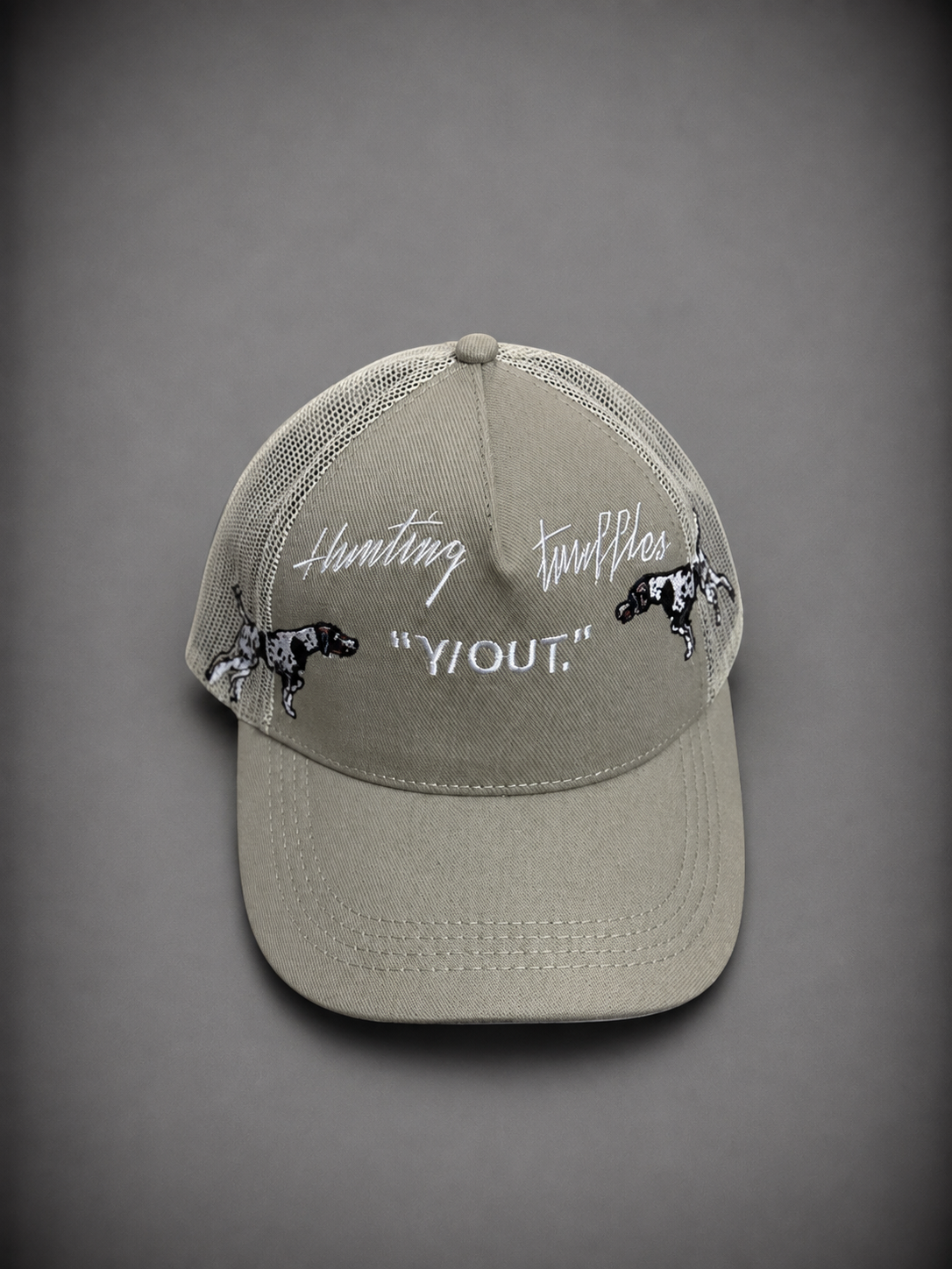 YOUT BEIGE PERRO