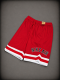 BASQUET NIKE AIR ROJA